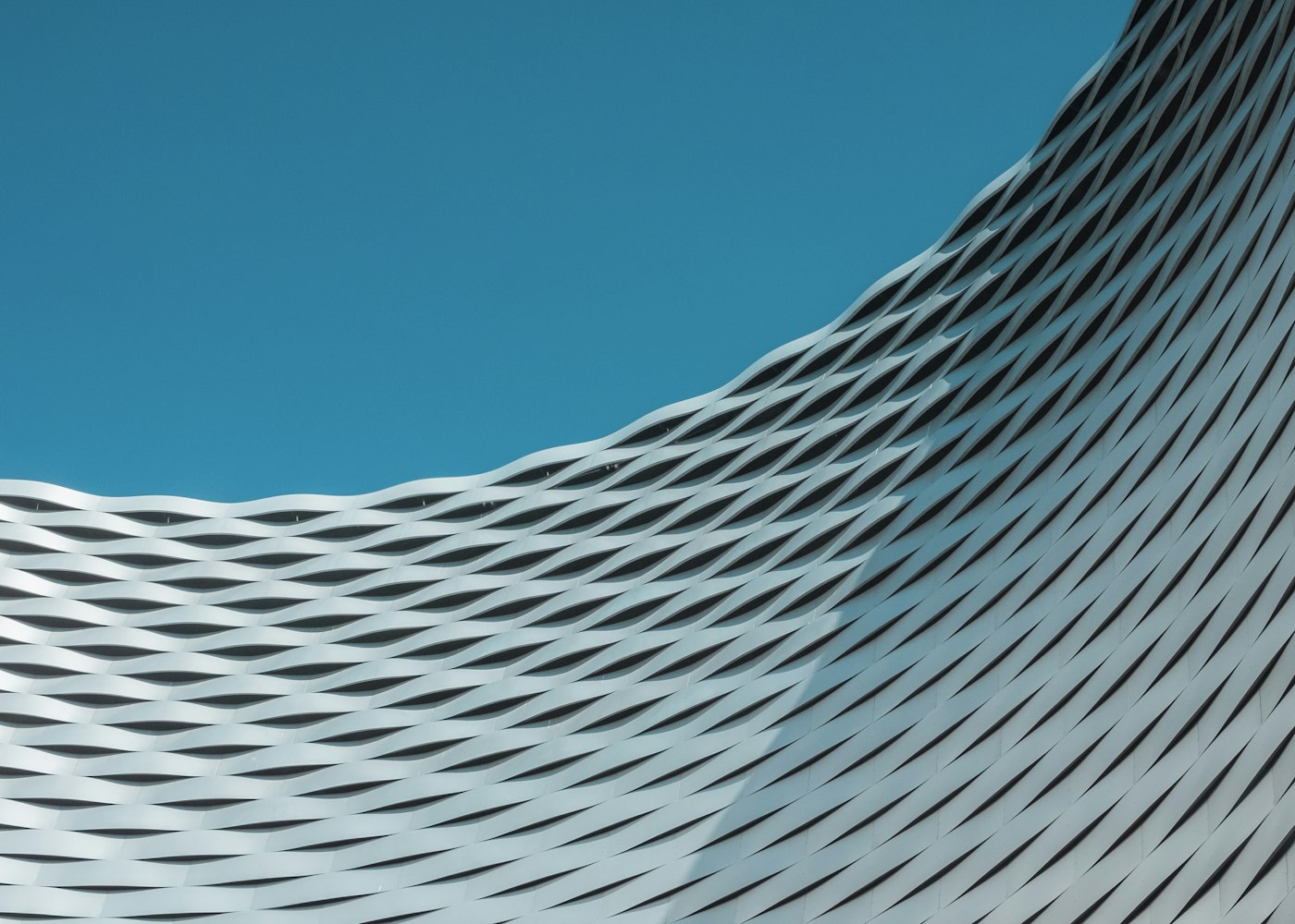 A woven structural lattice curving against the sky